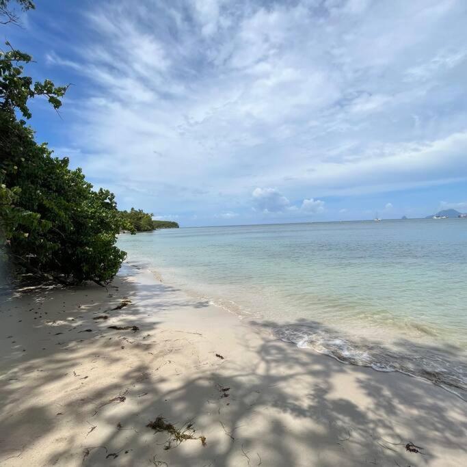 Studio La «Kaz' A Coco» Anse Caritan Sainte-Anne Exteriör bild
