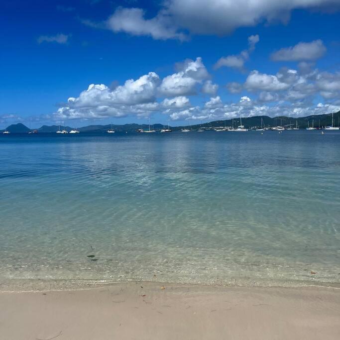 Studio La «Kaz' A Coco» Anse Caritan Sainte-Anne Exteriör bild