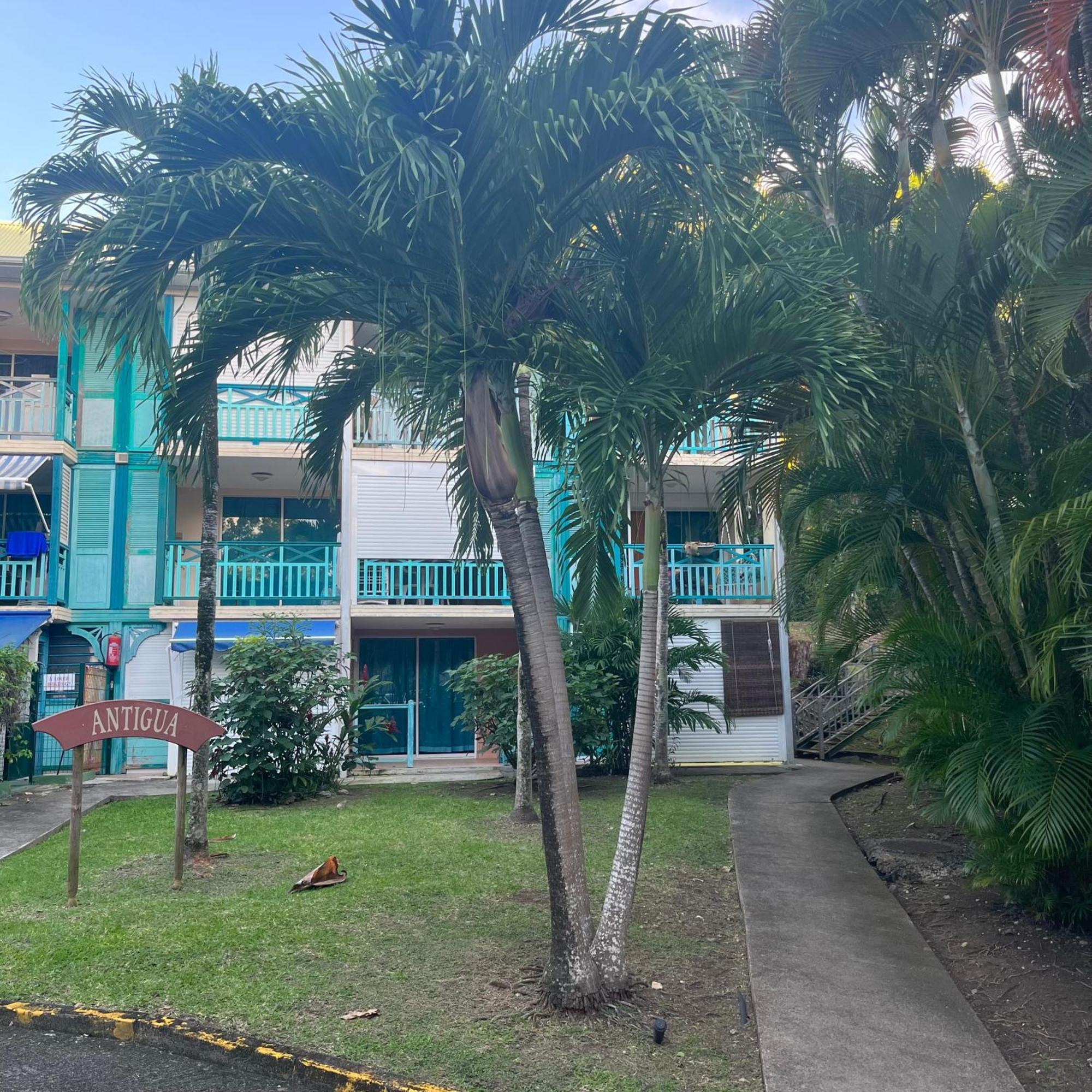 Studio La «Kaz' A Coco» Anse Caritan Sainte-Anne Exteriör bild